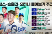 韓国人「日本での大谷人気はどの程度なのですか？キム・ヨナやパク・チャンホ級ですか？」　韓国の反応
