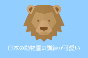 日本の動物園の「訓練」が真面目すぎて逆に笑っちゃうと海外で話題に！【台湾人の反応】