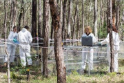 【衝撃】人間の死体は死後1年以上たっても大きく動くことが判明！！