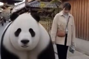 中国人「今の日本は安全なの？」　中国人「ニューヨーカーとしては危険を感じざるを得ない」「くれぐれも財布に要注意」