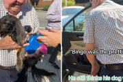 ダックスフントが大好きなおじいさんを孫娘が犬の集会に招待！大喜びで元愛犬に思いをはせる