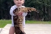 おうおう好きにやってくれてかまわないよ。世界で最も寛容な猫。海外の反応