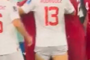 海外「W杯、アルバニア人を殺せと叫ぶセルビア人達。イエローカード11枚の喧嘩試合」