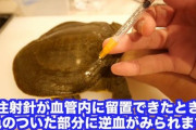 【韓国の反応】生きたまま動物解剖・実験 日本人ユーチューバー ... 「731部隊を思い浮かべる」虐待問題【TOMIKU・トミック】