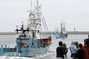 海外「最悪だな」　日本、今日から捕鯨を　再　開　！