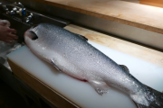 【海外の反応】「日本のシェフは世界位一に属する」日本の包丁さばき。