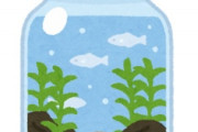 海外「信じられない！」日本人が出す排水の清潔さを示した映像に海外が超感動