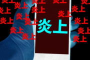アリアナ・グランデの 『アジアンフィッシング 』に対する日本人の反応「文句を言ったのは、本当のアジア人でない人たちだけ」「日本人の視点が聞けてとても興味深い」海外の反応