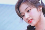 韓国人「大人の色気を漂わせるTWICEのサナをご覧ください」