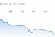 韓国人「トルコリラが大暴落！１リラが60ウオン台に‥」→「韓国の通貨スワップはどうなるのですか？」　韓国の反応