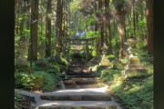 海外「まるで別世界のように神秘的な空間だ…」阿蘇郡高森町にある上色見熊野座神社（海外の反応）