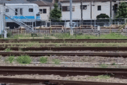 韓国人「なぜか可愛い…日本の鉄道マニアが好む“訓練用車両”の存在感とは？」→「観光列車より人気らしい」
