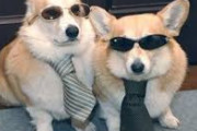 海外「日本のネット文化にミームって無いの！？！？」海外では常識の　ネット文化　が日本に全く伝わってない事実　海外の反応