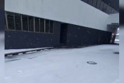 【海外】雪嵐の中、 cries を聞いて赤ちゃん動物を救出！感動の出会いとは？