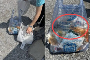 上高地に安山市のごみ袋とキムチ残飯、韓国側では「国の恥」か「中国系住民では」と責任論が過熱