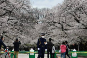 【韓国の反応】「秩序の日本」、なぜ外出自粛ができないのか？…日本のメディアの嘆き