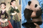 韓国人「中国人が韓国叩き！」韓服にパンダまで…連日韓国非難を続ける中国ネチズンに中国メディアまで参加！　韓国の反応