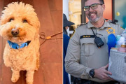 【海外】「廃 abandoned ラスベガス空港で救われた犬、警官と共に温かい新しい家を見つける」