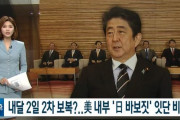 韓国人「安倍政府が韓国に第2次報復?」来月2日に韓国をホワイト国から削除、一方で米国内部からは世界経済への懸念の声も高まる　韓国の反応