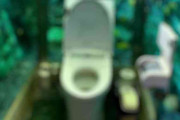 日本のレストランの超個性的なトイレが海外で話題に　「ウンコするためだけに日本に行きたい」「誰がこのトイレに行けるんだ？」