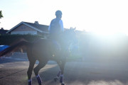 海外の反応　ダービー馬ドウデュース、ニエル賞から凱旋門賞へ。タイトルホルダーが1番人気に浮上！