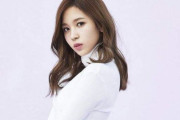 韓国人「イルベ民を発見したTWICEミナ」