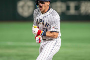 日本で大谷とヌートのブロマンスが商品化されて全米騒然！（海外の反応）