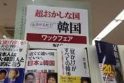 韓国人「日本には何故嫌韓が多いのですか？」日本とは、嫌韓本がベストセラーになり毎日嫌韓デモが起き観光客にワサビテロをする国　韓国の反応