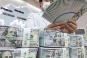 韓米通貨スワップ延長不発…今月末終了予定＝韓国の反応