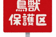 「動物が絶滅したって言うけど、なんでわかるの？」海外の反応いろいろ