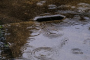 【ASMR】雨の汝矣島の夕べ「雨の中の素晴らしい散歩」「雨の中での撮影はとても素敵で、まるで映画のようでした」海外の反応