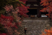韓国人「日本の美的感覚って本当に独特で最高です！」「侵略されたことがないからです。韓国は全て破壊された…」