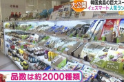 韓国人「日本人が選んだ『韓国食品』ランキングがコチラ‥」→「和菓子＝韓菓子だからでしょうか？」　韓国の反応