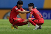 韓国人「日本から見ると、韓国は中国のウズベキスタンの様な存在なのでしょうか？」→「アノ国はラフプレー大国だから」　韓国の反応