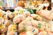 【韓国の反応】毎日食べてるタマネギ、日本の種だった…韓国の種に変えるや値段がガクン