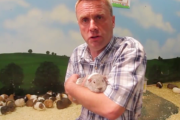 メスの飼育ブースに侵入し100匹のメスを妊娠させた好色モルモット（イギリス）