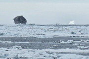 【海外】漁師が捉えた！極めて珍しい黒い氷山の謎とは？