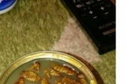 【画像あり】日本人「うわあああ」「これはキツイｗｗｗ」韓国料理を見てびっくりする日本人をご覧ください　韓国の反応