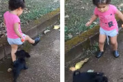 食欲には勝てない？女の子からキャンディーを奪った犬「してやったり」