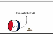 【フランス】革命的農業【ポーランドボール】