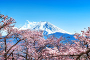 外国人「君らは日本ってどう思う？」海外の日本に対するリアルな反応（海外の反応）