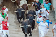 海外「スペインの牛追い祭りで10人死亡。流石に論争となる」