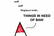 【シンガポール】国、人、バン【ポーランドボール】
