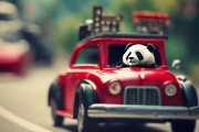中国人「オーストラリアで日本風ナンバープレートの取得が可能に」　中国人「羨ましい」「日本車にはいいかも」「中国風はいつ導入？」