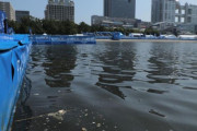 お台場の水質悪化でパラトライアスロンＷ杯のスイム中止（海外の反応）