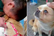 職と家と全財産を失った男性は、最愛の犬を店主に託した。すべてを悟った犬の瞳は涙で濡れていた