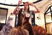 海外「悪名高い日本の猫カフェがついに見られるぞ！」東京の猫カフェを紹介した動画が話題に（海外の反応）