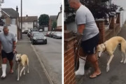 怪我のため杖を使って歩く飼い主さんのマネをして足を引きずって歩く犬