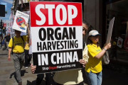 【怖すぎ】「中国政府は少数民族を惨殺し臓器狩りを行っている」 国連で衝撃の告発