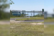 【海外】公園で見かけた灰色の塊の正体は？赤ちゃん動物を救った女性の感動ストーリー！
